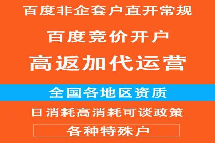 解析某某SEM服务公司的广告投放策略与效果评估